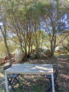 Su Frassu Authentic Gallura Stone House Vineyard Area near Olbia img21