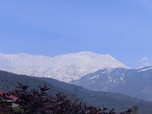 Annies HomeStay A home stay away from home