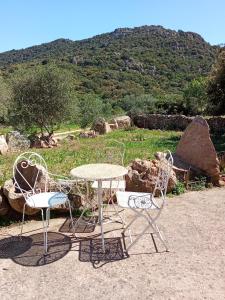 Su Frassu Authentic Gallura Stone House Vineyard Area near Olbia img10