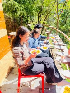 Alpine heaven forest view cottage jibhi,