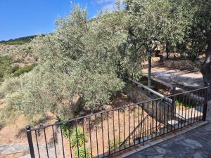 ASTERAS by Villa Paou