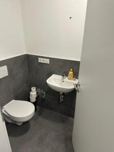 Alzey 7 Personen 3 Schlafzimmer Balkon zentrale Lage