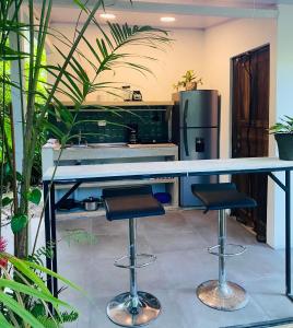 Jungle apartment with bathtub and outdoor shower