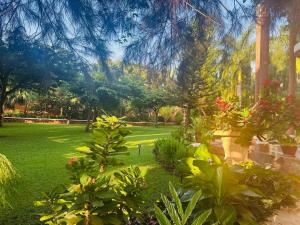 Kilimanjaro Pazuri, a boutique African Villa