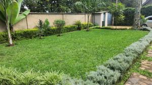 Selesi Homes