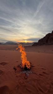 Wadi rum magical nights