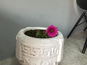 Memas Stone Apartment