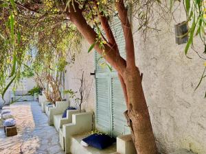 Skouna Luxury Suites by DadoVillas
