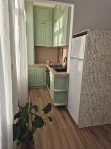 Zion Central Apartment