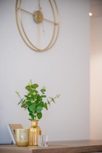 Golden Luxury Apartment- Self Check-in