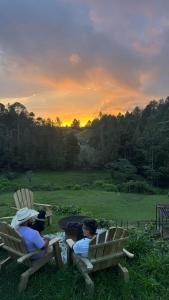 Sahara Lodge Nature, Design Arabian Horses