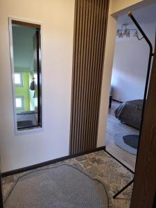 1 room apartment in Statybininku pr.