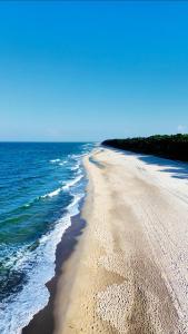 MIKROKLIMAT Apartamenty przy plaży - Las, Cisza, Blisko centrum, Jastarnia