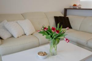 Moderný apartmán s loggiou v tichej lokalite Trnavy & free parking