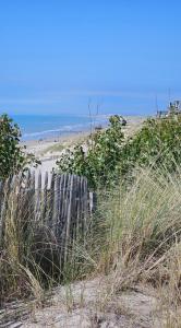 Au cœur de Berck plage