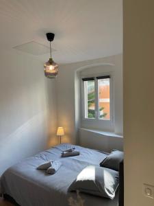 Ajaccio Old Town Apartment
