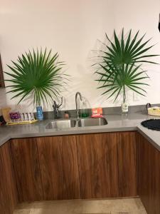 Brand New 2BR Condo in Gran Tulum