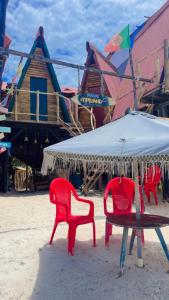 Tipiland baru la casa del mono