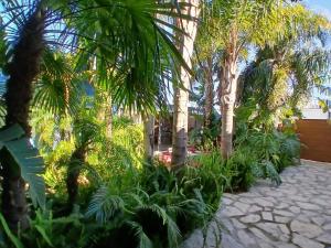 Casa Amazónia, 27 min from Lisbon, Swimming Pool
