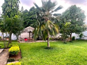 Akogo House - BnB , Hostel, Backpackers & Volunteer Center