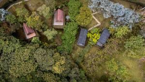 Tiny House La Silleta