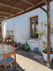Su Frassu Authentic Gallura Stone House Vineyard Area near Olbia img44