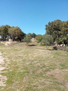 Su Frassu Authentic Gallura Stone House Vineyard Area near Olbia img62