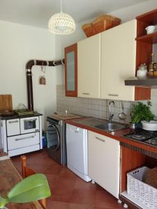 Su Frassu Authentic Gallura Stone House Vineyard Area near Olbia img57