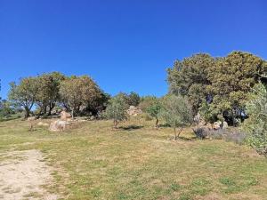 Su Frassu Authentic Gallura Stone House Vineyard Area near Olbia img67