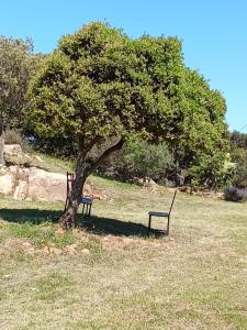 Su Frassu Authentic Gallura Stone House Vineyard Area near Olbia img81