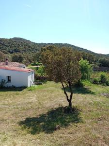 Su Frassu Authentic Gallura Stone House Vineyard Area near Olbia img93
