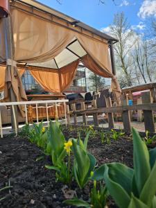 Home comfort in the heart of the city