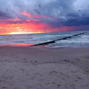 Perła Bałtyku z dostępem do Imperiall Resort &MediSpa