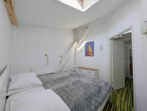 Pop Art Krakow Old Town