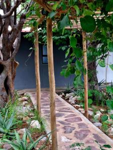 Oshamanongo BushCamp