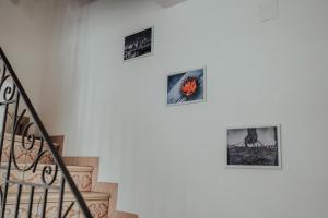 Punta Sardegna img47