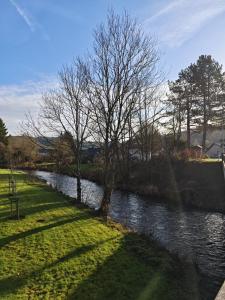XL Eifel House für 14 Gäste mit Whirlpool, Wintergarten, mehreren Terrassen und Balkone sowie großen Garten
