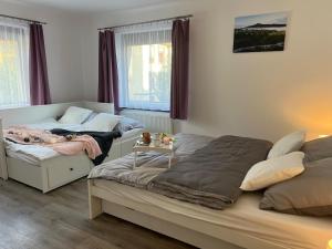 Prostorný apartmán blízko centra