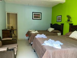 Hotel Brunette Beach El Paredon