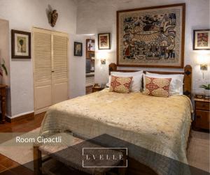 Tropical Villas & Wellness Retreat Morelos