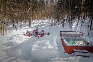 NEW! Grand Timber Chalet - Hot Tub & Billiard