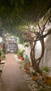 La Casita de Salta - Dpto 2 para 5 personas con patio interno y asador, vista al jardin - Tu descanso en el norte empieza aquí