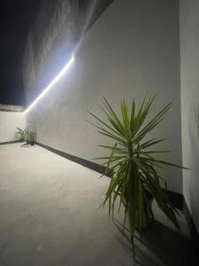 Domus de janas 2 img20