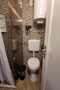 Apartments with WiFi Osijek, Slavonija - 23172