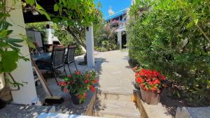 Apartments with parking space Gajac, Pag - 25352