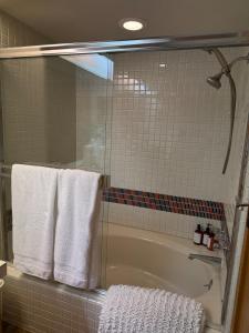 Ski-In Ski-Out Palisades Hot-Tubs EV Charger