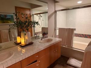 Ski-In Ski-Out Palisades Hot-Tubs EV Charger