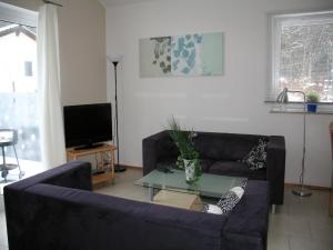 Bungalow near Eifel Ski Lift