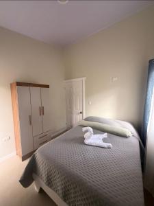 Casa colibrí Tarrazú