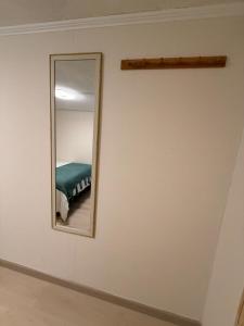 Hostal Andino